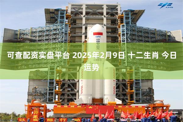 可查配资实盘平台 2025年2月9日 十二生肖 今日运势