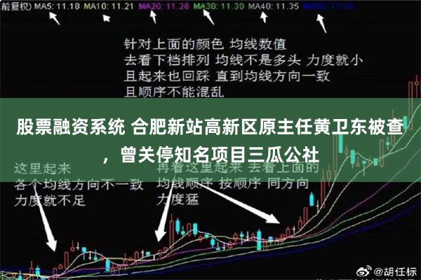 股票融资系统 合肥新站高新区原主任黄卫东被查，曾关停知名项目三瓜公社