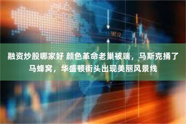 融资炒股哪家好 颜色革命老巢被端，马斯克捅了马蜂窝，华盛顿街头出现美丽风景线