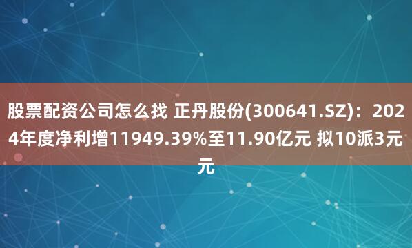 股票配资公司怎么找 正丹股份(300641.SZ)：2024年度净利增11949.39%至11.90亿元 拟10派3元
