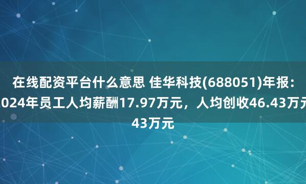 在线配资平台什么意思 佳华科技(688051)年报：2024年员工人均薪酬17.97万元，人均创收46.43万元