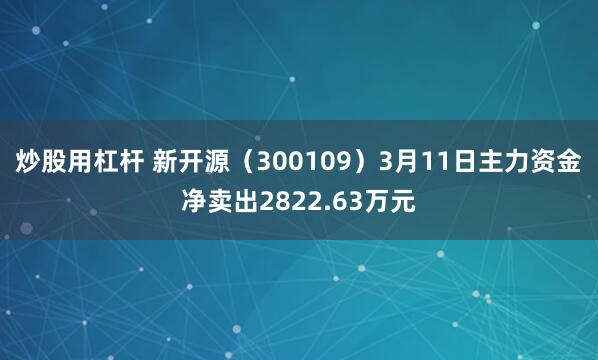 炒股用杠杆 新开源（300109）3月11日主力资金净卖出2822.63万元