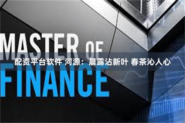 配资平台软件 河源：晨露沾新叶 春茶沁人心