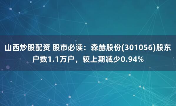 山西炒股配资 股市必读：森赫股份(301056)股东户数1.1万户，较上期减少0.94%