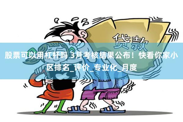 股票可以用杠杆吗 3月考核结果公布！快看你家小区排名_评价_专业化_月度