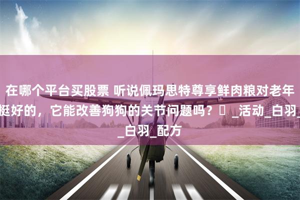 在哪个平台买股票 听说佩玛思特尊享鲜肉粮对老年宠物挺好的，它能改善狗狗的关节问题吗？​_活动_白羽_配方