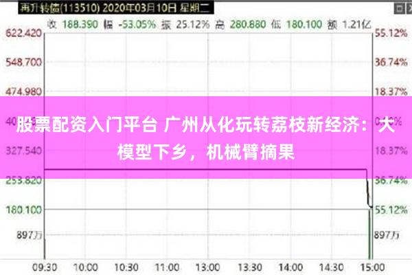 股票配资入门平台 广州从化玩转荔枝新经济：大模型下乡，机械臂摘果