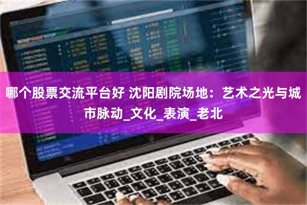 哪个股票交流平台好 沈阳剧院场地：艺术之光与城市脉动_文化_表演_老北
