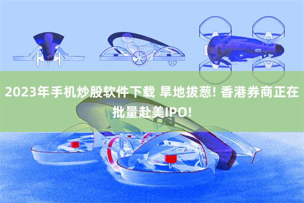 2023年手机炒股软件下载 旱地拔葱! 香港券商正在批量赴美IPO!