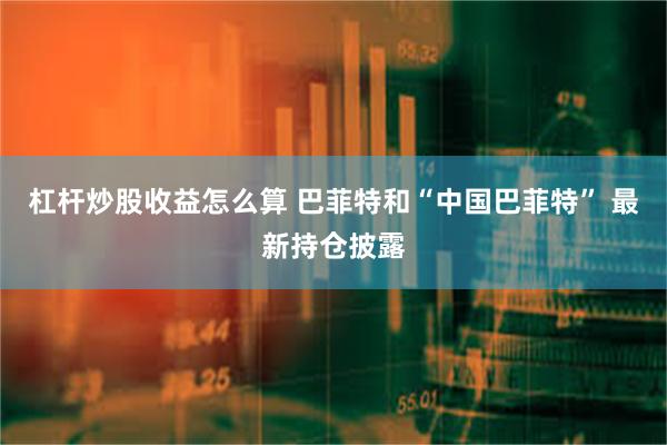 杠杆炒股收益怎么算 巴菲特和“中国巴菲特” 最新持仓披露