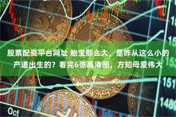股票配资平台网址 胎宝那么大，是咋从这么小的产道出生的？看完6张高清图，方知母爱伟大