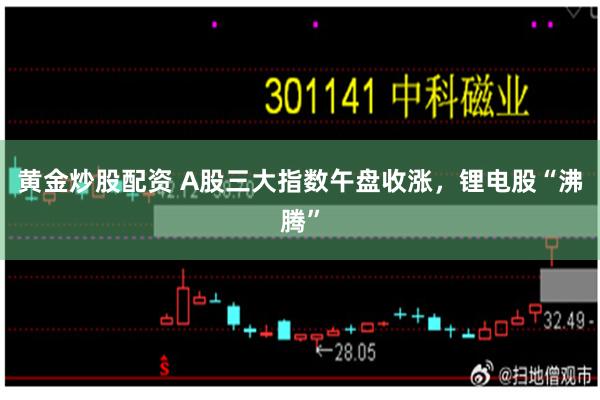 黄金炒股配资 A股三大指数午盘收涨,锂电股“沸腾”