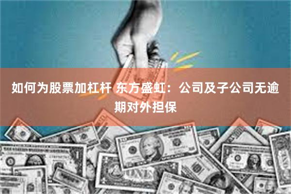 如何为股票加杠杆 东方盛虹:公司及子公司无逾期对外担保